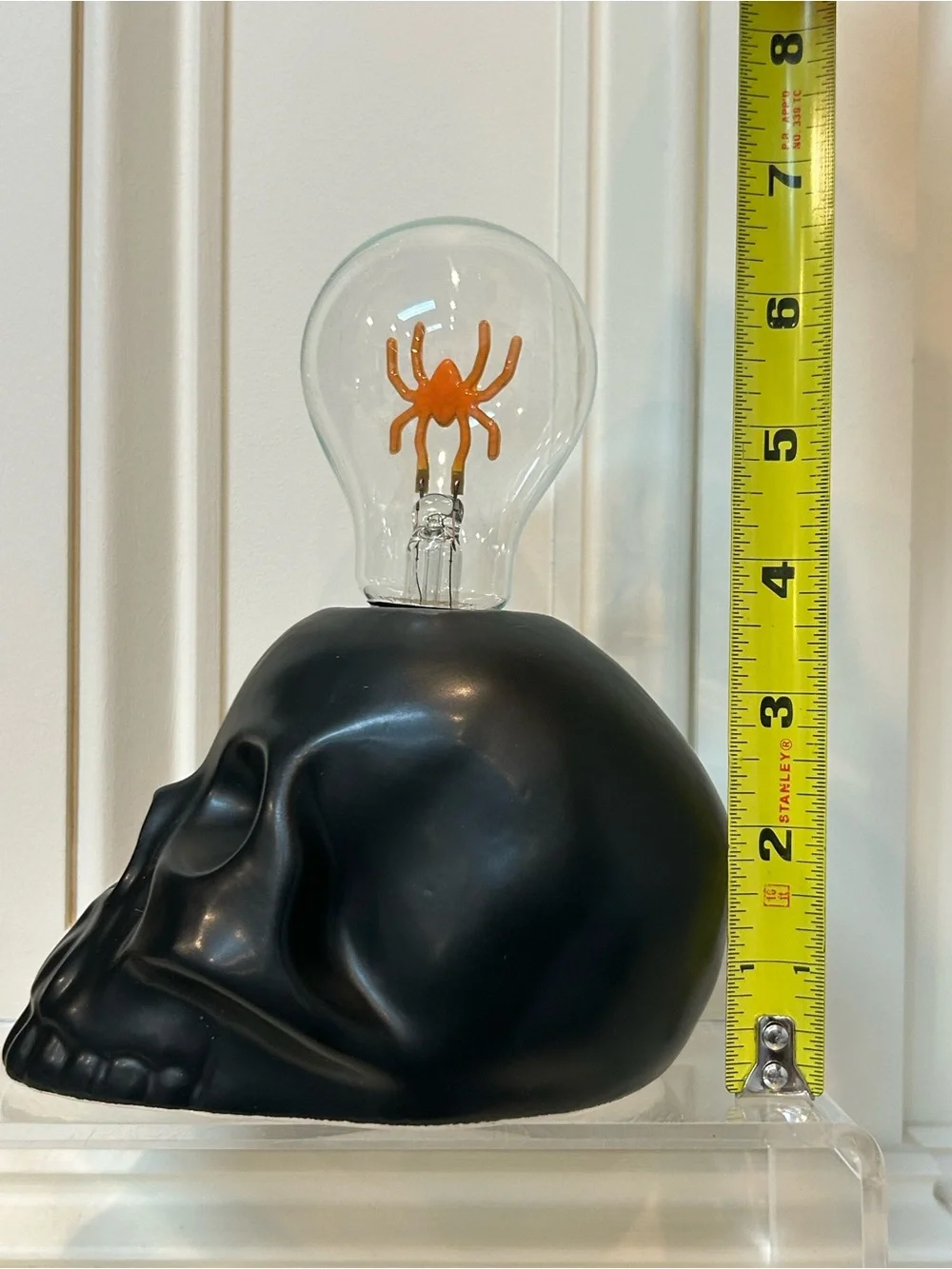 Ashland Black Skull Accent Light-Up Decoration with Spider Bulb